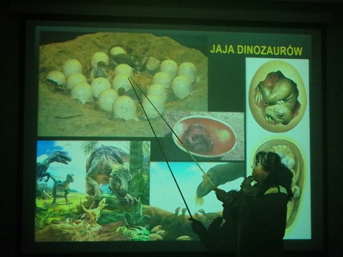 Jaja dinozaurów prelekcja w Czytelni Naukowej