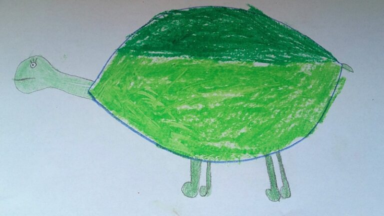 obrazek - żółwik