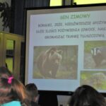fragment prezentacji multimedialnej wyświetlony na ekranie projektora, dotyczący zwierząt zapadających w sen zimowy - niedźwiedzi, borsuków, jeży