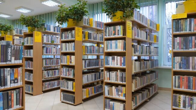 regały pełne książek