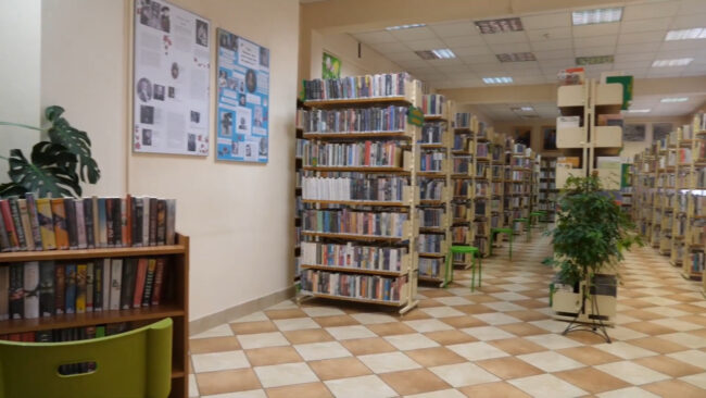 regały biblioteczne pełne książek