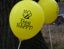 balon z napisem bee happy!