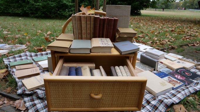 książki w stylowym meblu z szufladką leżą na trawie - pchli targ w parku Bródnowskim