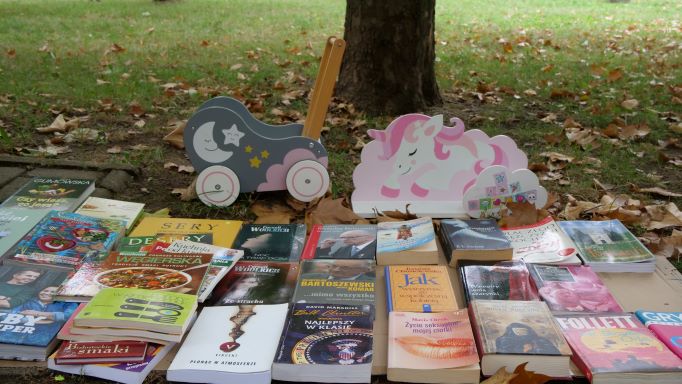 książki na trawie - pchli targ w parku Bródnowskim