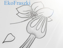 na obrazku widelec wbijający się w płatki kwiatu, poniżej opadające płatki, treść: na obrazku: EkoFraszki