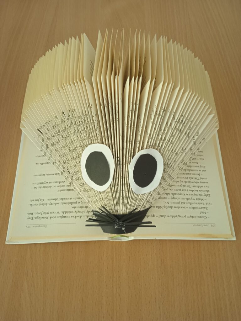 Noc Bibliotek 2022 w W60