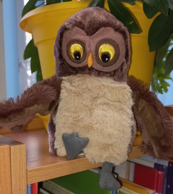 sowa Jadwiga - biblioteczna maskotka