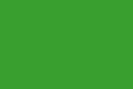 Ikonka z zielonym tłem