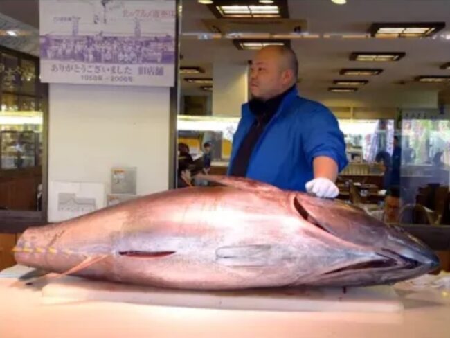 Japończyk z dużą rybą - na targu rybnym