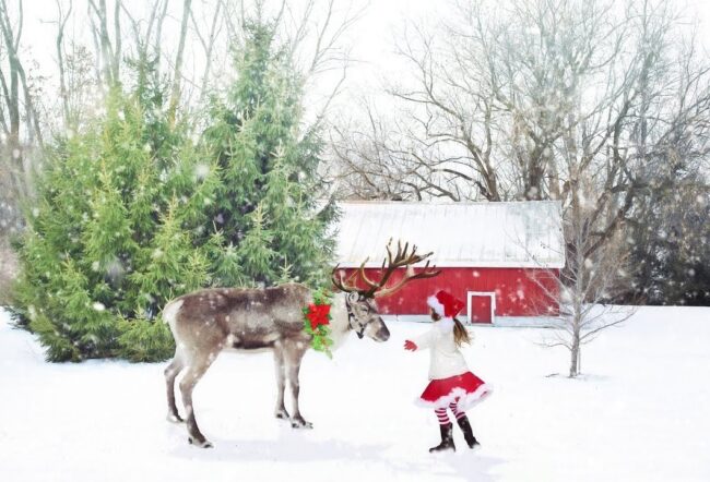 dziewczynka stoi przy reniferze, który ma na szyi zielony wieniec ozdobiony gwiazdą betlejemską; w tle domek, drzewa; wokół dużo śniegu