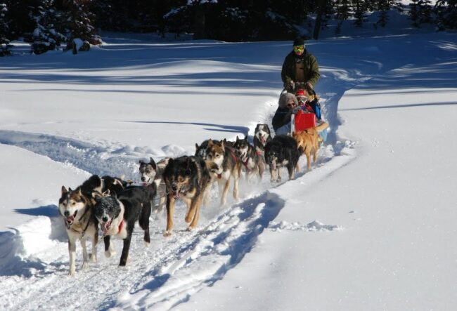 10 psów husky ciągnie po śniegu sanie z dwiema osobami; za nimi osoba prowadząca sanie
