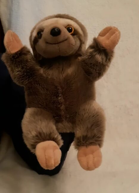 Lu opowiada o bibliotekach