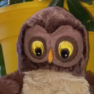 Pacynka - sowa Jadwiga.