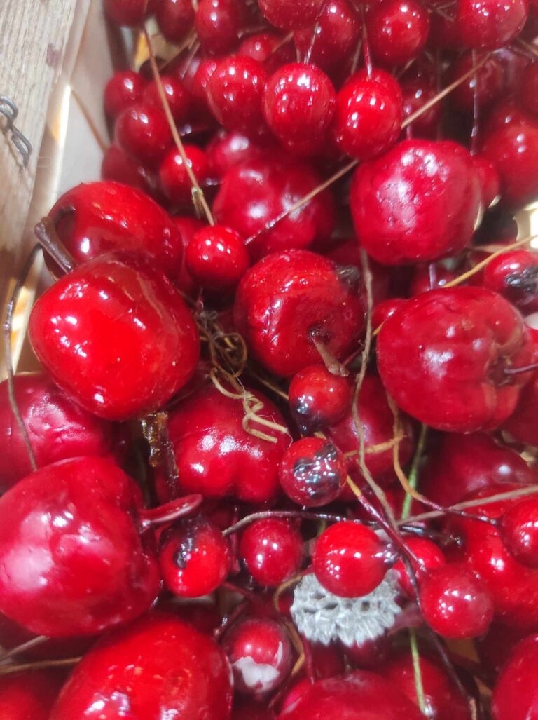 warsztaty tworzenia wianków bożonarodzeniowych