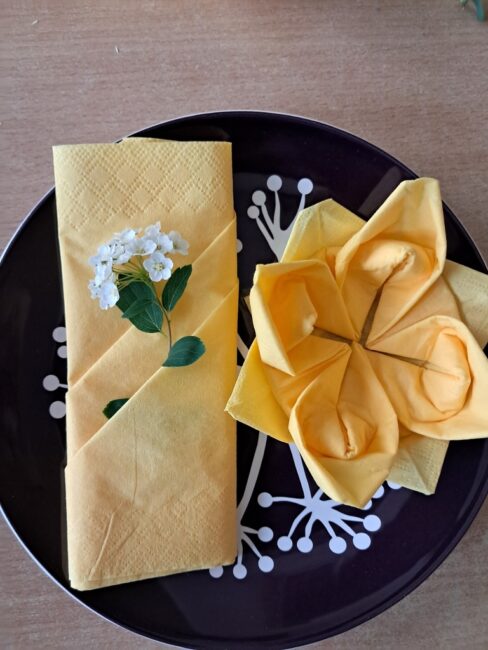 fantazyjnie złożone serwetki leżące na talerzach