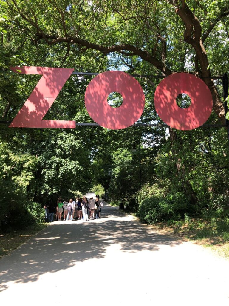 alejka parkowa - droga do zoo