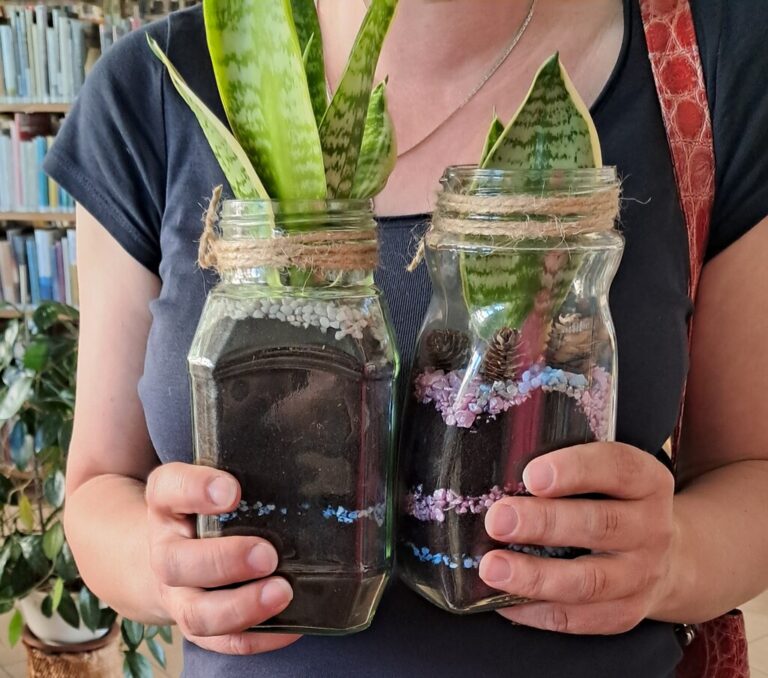 warsztaty tworzenia lasu w słoiku