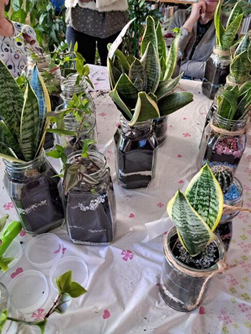 warsztaty tworzenia lasu w słoiku