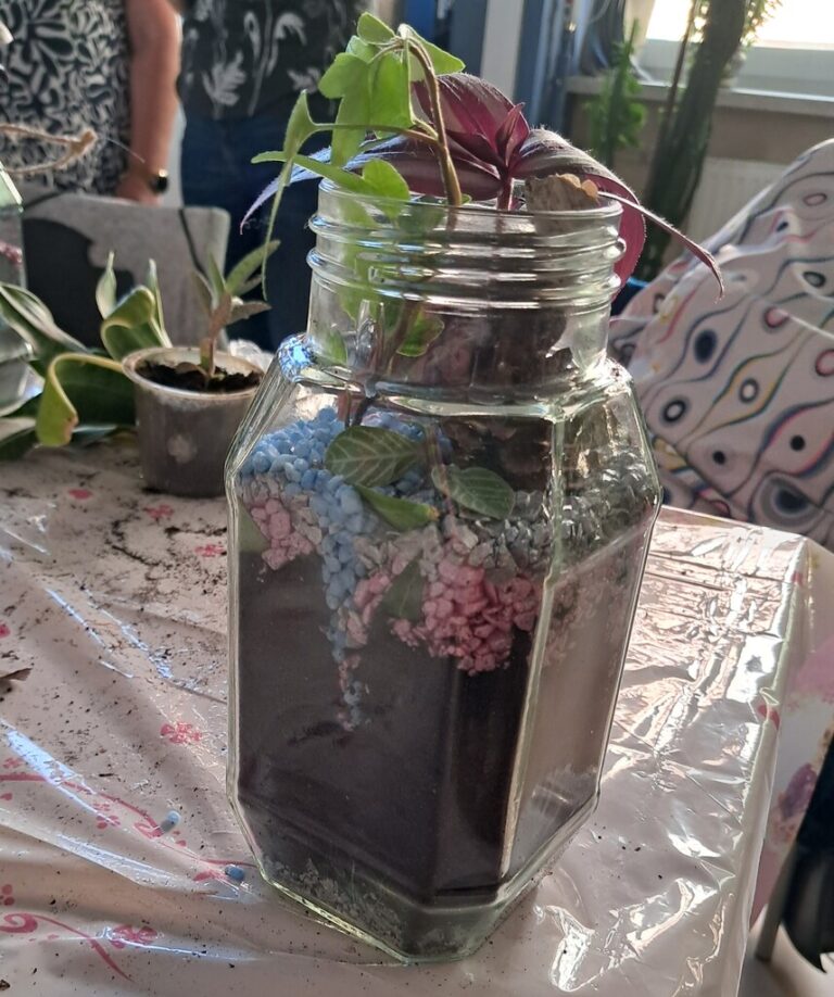 warsztaty tworzenia lasu w słoiku