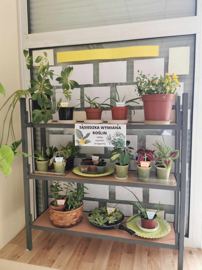 kwiat doniczkowy w bibliotece