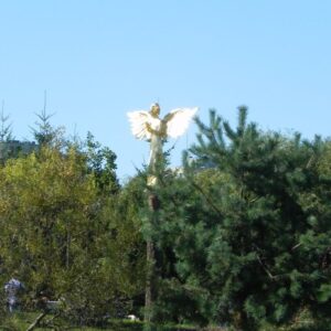 rzeźba anioła w parku, ponad drzewami, na tle bezchmurnego nieba