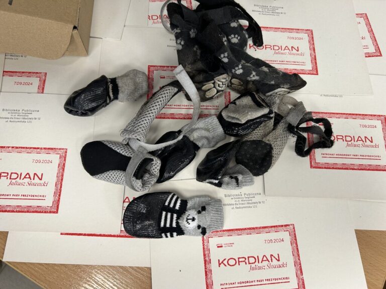 biblioteczne zajęcia dla uczniów o Kordianie Juliusza Słowackiego