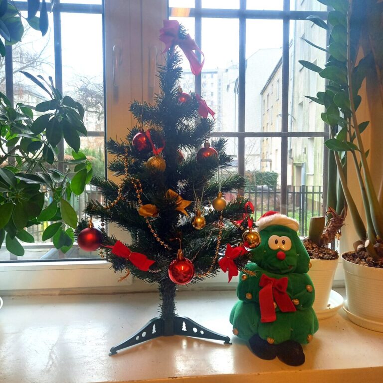 bożonarodzeniowy wystrój wypożyczalni nr 37