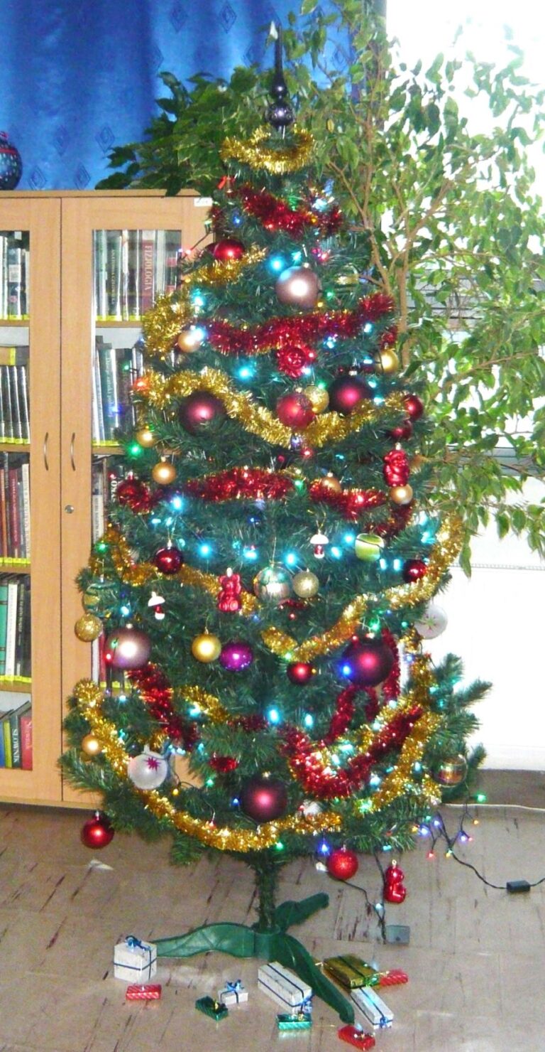 bożonarodzeniowy wystrój biblioteki nr 65