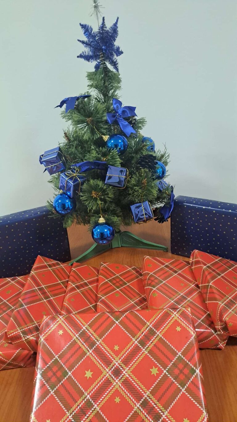 książki opakowane w świąteczny papier ozdobny i choinka