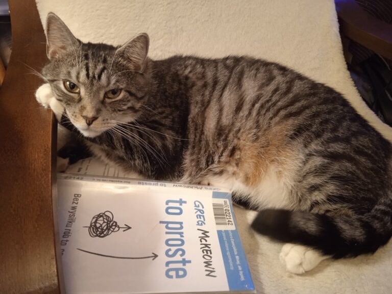 zdjęcie nadesłane przez Czytelnika w ramach akcji Światowy Dzień Kota w Bibliotece nr 65