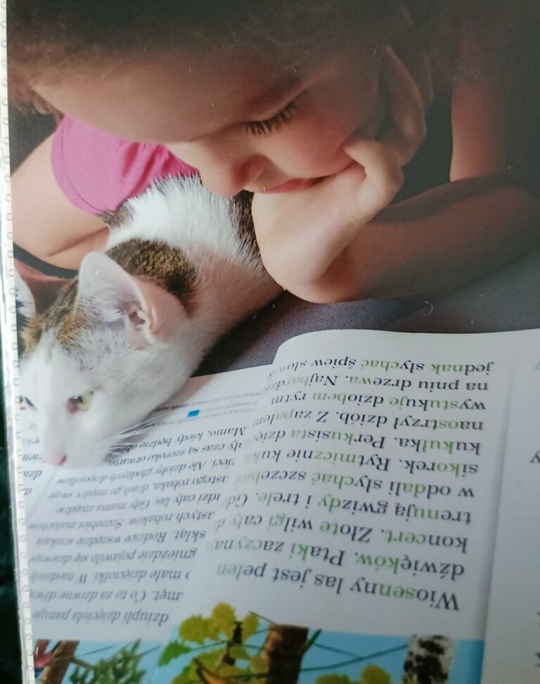 zdjęcie nadesłane przez Czytelnika w ramach akcji Światowy Dzień Kota w Bibliotece nr 65