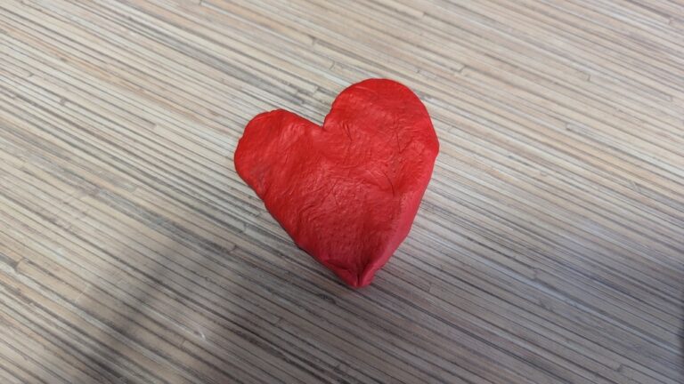 warsztaty poklatkowej animacji plastelinowej