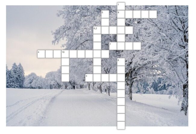 krzyżówka; w tle ośnieżone drzewa i droga