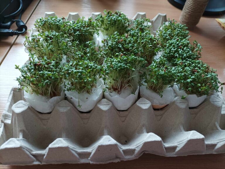 warsztaty tworzenia ozdób wielkanocnych