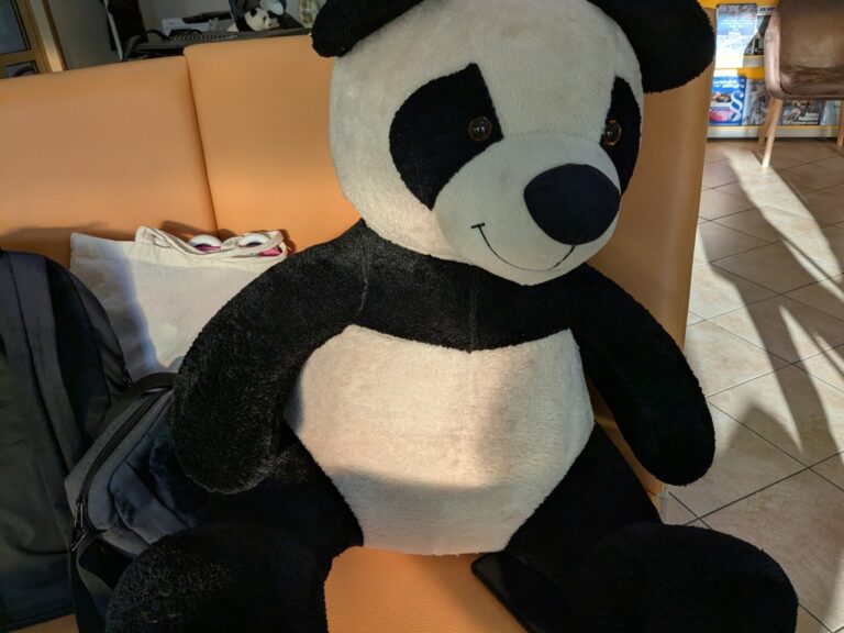 maskotka panda Wanda