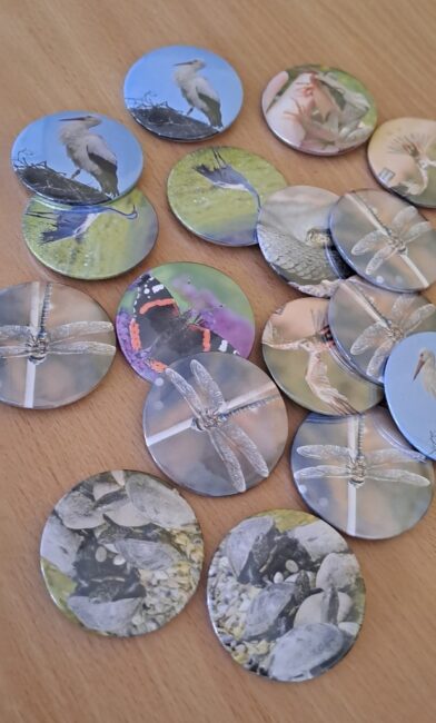 zajęcia biblioteczne dla dzieci