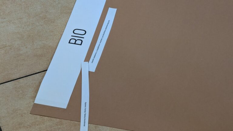 zajęcia ekologiczne dla dzieci