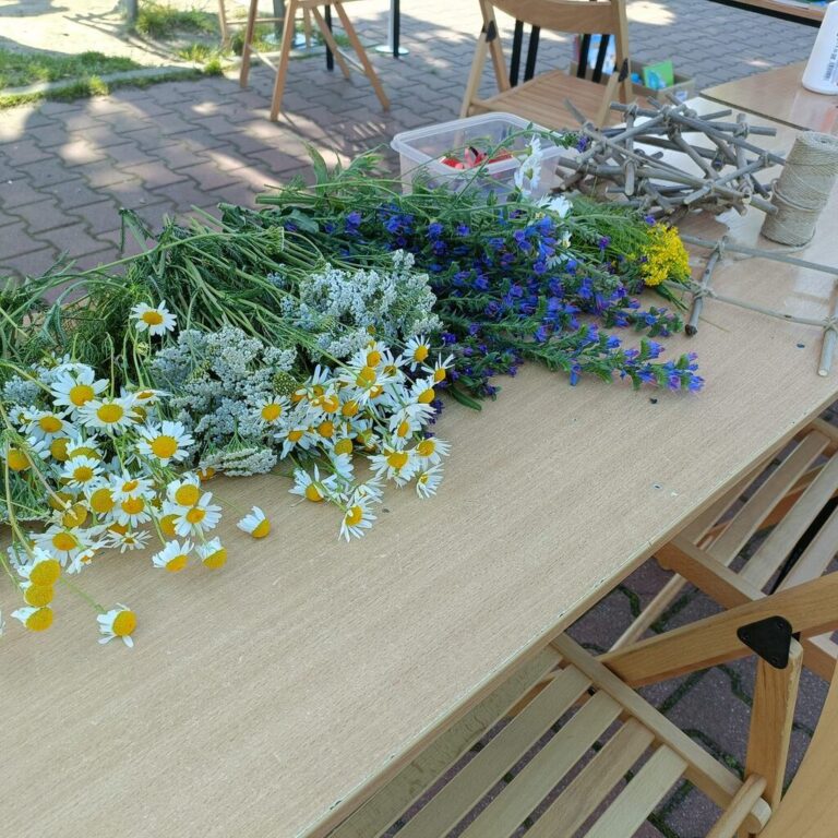 piknik rodzinny - atrakcje przy namiocie biblioteki