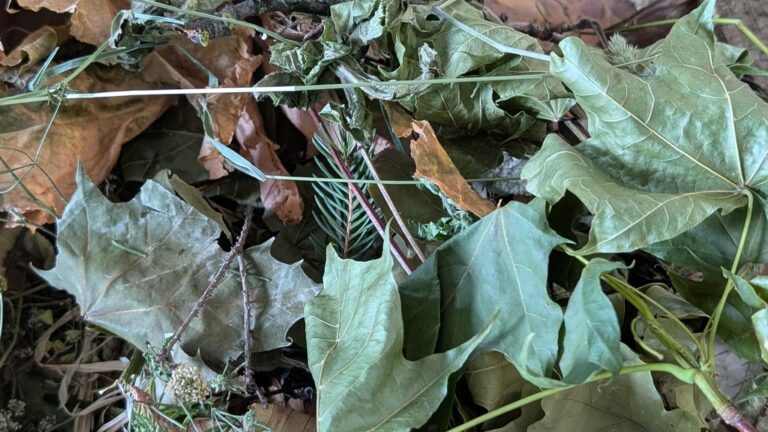 warsztaty plastyczne dla dzieci