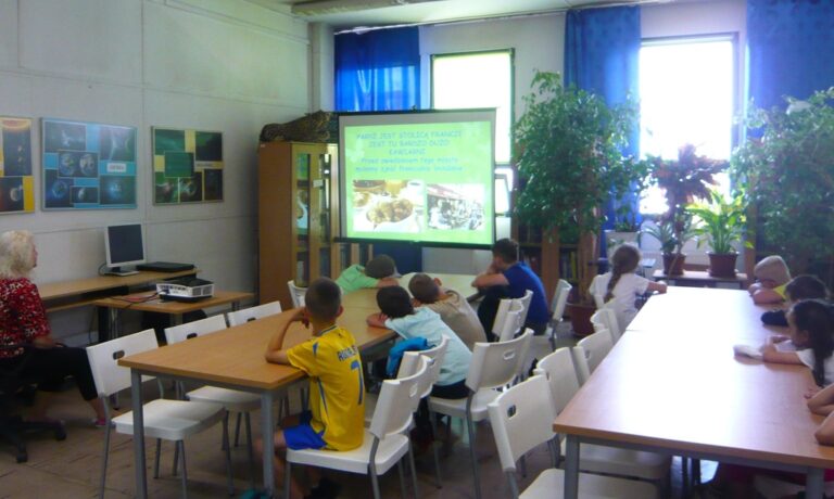 biblioteczne zajęcia dla dzieci