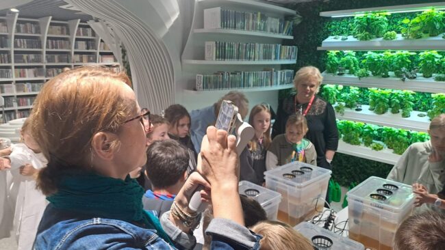 warsztaty dotyczące hydroponiki