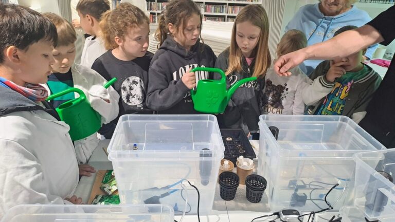 warsztaty dotyczące hydroponiki