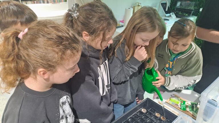 warsztaty dotyczące hydroponiki