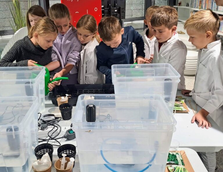 warsztaty dotyczące hydroponiki