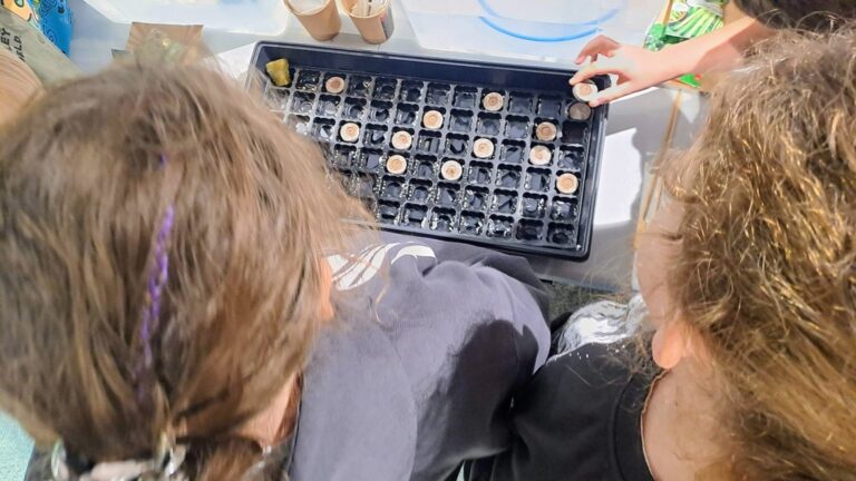 warsztaty dotyczące hydroponiki