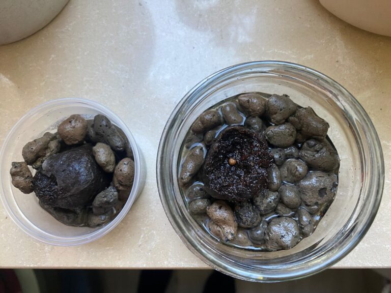 warsztaty dotyczące hydroponiki