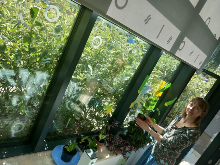 plantcrossing - wymiana roślin w bibliotece