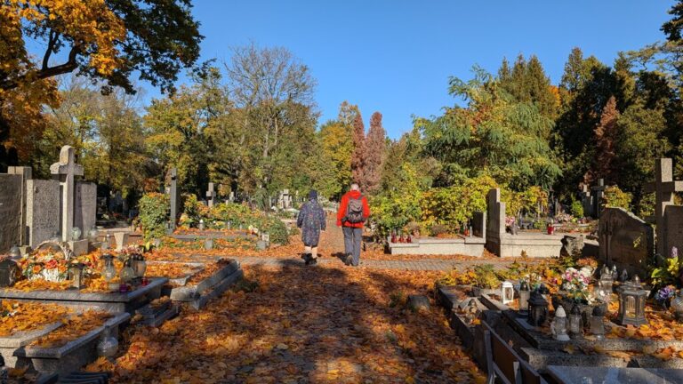 spacer po cmentarzu bródnowskim