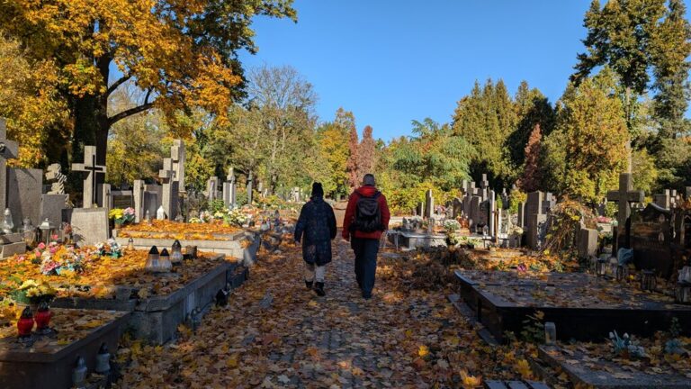 spacer po cmentarzu bródnowskim