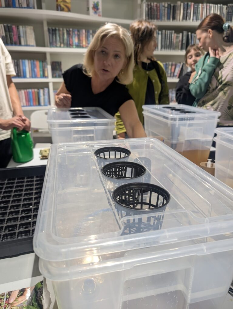 warsztaty – hydroponika